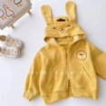 thumbnail image 5 of Sudadera con capucha para niños de Sanrio, Kawaii My Melody, Kuromi, Cinnamoroll, con cremallera, manga larga, abrigo cálido, sudadera con capucha de peluche Purin para niñas, regalo, 5 of 5