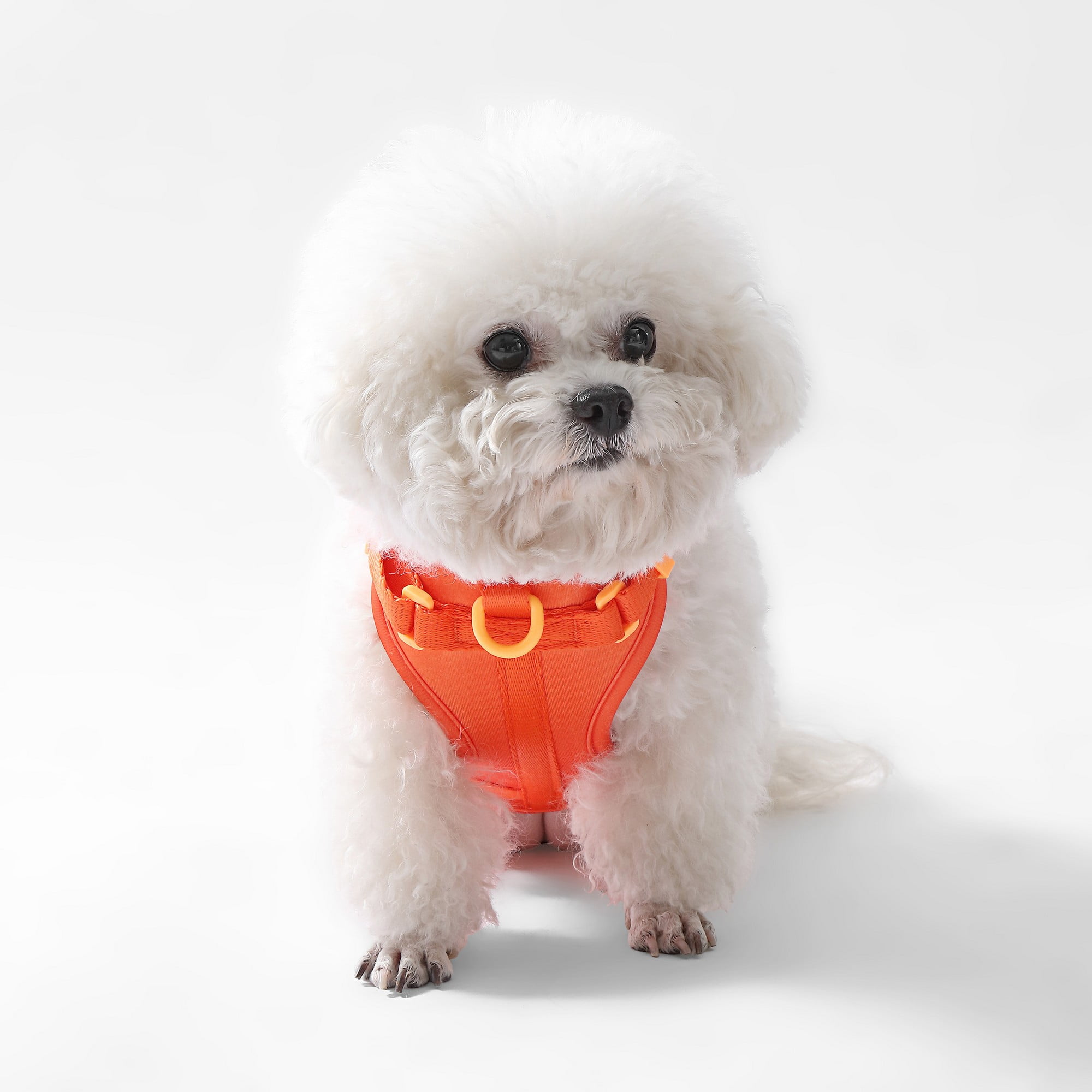 THE LICKER STORE Arlo Small Adjustable Soft Padded No Pull Pet Harness with 3 Buckles and 3 Leash Clips, Dark Orange, HNS1001A