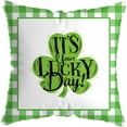 thumbnail image 1 of LADIGASU St. Patrick's Day Short Plush Cushion Cover Throw Pillow Cover Sofa Home Decor, 1 of 1
