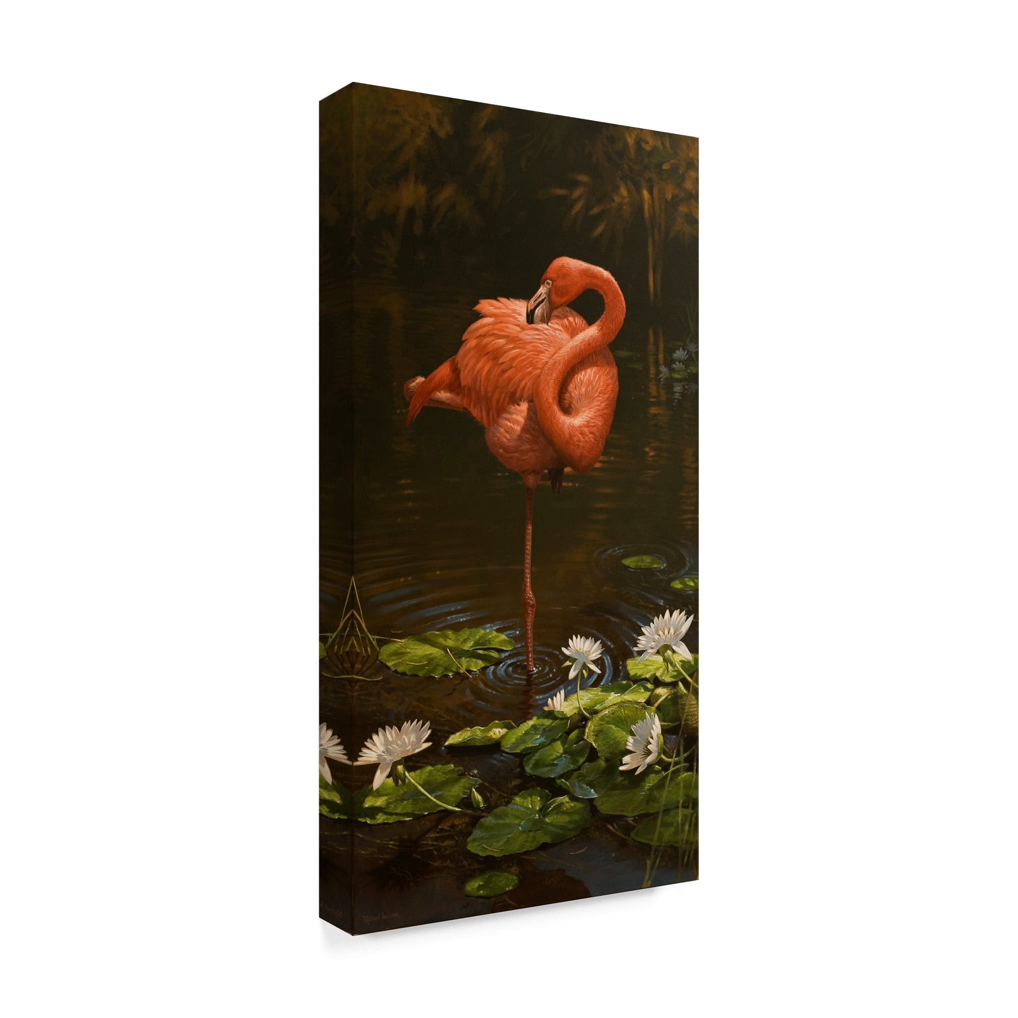 Trademark Fine Art 'Pirhouette' Canvas Art by Michael Jackson
