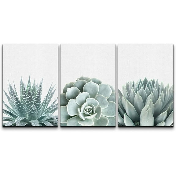 wall26 Wall Art Print Set Green Succulent and Cactus Variety Wilderness Nature Illustrations Modern Art Rustic Closeup Colorful for Living Room, Bedroom, Office - 24"x36"x3
