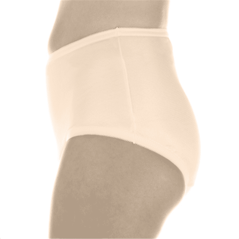 Wearever Women's Incontinence Underwear Reusable Maximum Bladder Control  Panties for Feminine Care, 6-Pack
