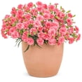 thumbnail image 2 of Fruit Punch® Classic Coral Pinks, 2 of 3