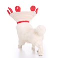 thumbnail image 3 of Elizabeth Collar Cat and Puppy Post Surgery Pet Collar-S, 3 of 6