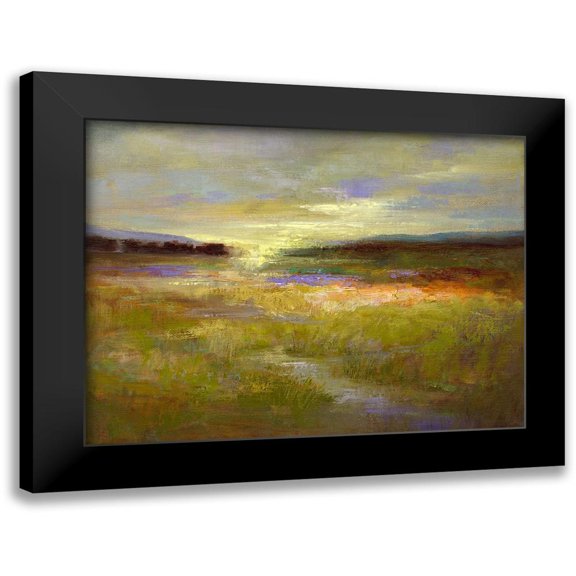 Finch, Sheila 14x12 Black Modern Framed Museum Art Print Titled - Light Across the Meadow II