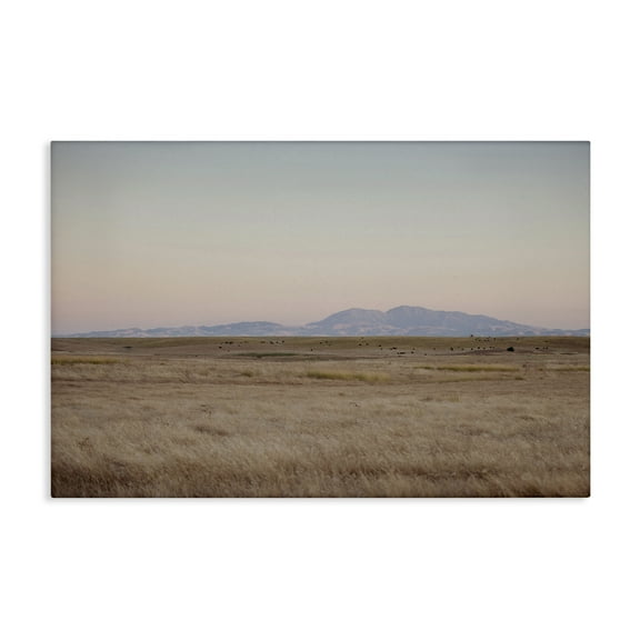 Stupell Industries Grizzly Island View Landscape & Nature Photography Wrapped Canvas Art Print Wall Art, 24 x 16