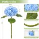 thumbnail image 5 of Flores artificiales MARTINE MALL Hydrangea 53 cm, 3 unidades, azul, 5 of 9
