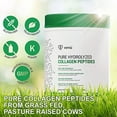 thumbnail image 6 of Kosher Hydrolyzed Collagen Peptides Powdered Protein Drink Mix Improve Digestive Health Weight Loss - Builds Muscle & Fight Aging For Radiant Skin -11.7 oz, 6 of 8
