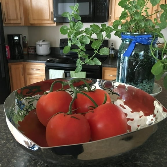 Inox 11-inch Full Polished Stainless Steel Salad Bowl.