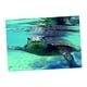 thumbnail image 5 of Fondo Adhesivo Subacuático Decoración Colco Tortuga 76x46cm Pecera de fondo pegatina, 5 of 8