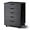 Black, variant on 5 Drawers File Cabinet, Vertical Filing Cabinet for Home Office, Mobile Under Desk Office Storage Cabinet with Wheels, Modern Chest of Drawers for Bedroom (Black, 5 Drawers)