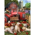 thumbnail image 4 of Ceaco-Tom Wood 500pc Puzzle, 4 of 4