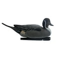 thumbnail image 6 of AVIAN-X Topflight Pintails Durable Ultra Realistic Floating Hunting Duck Decoys, Pack of 6, AVX8082, 6 of 13