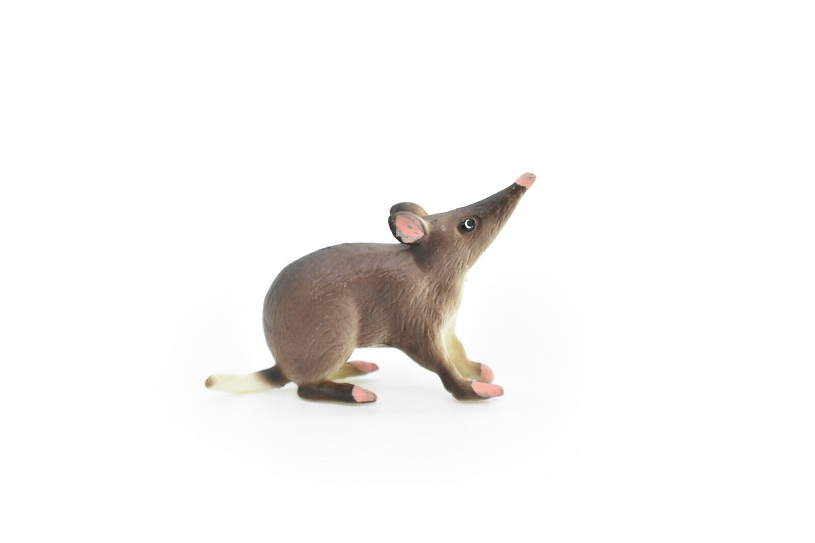 Bandicoot, Mouse, Toy, Rodent, Shrew, Long Nosed Mouse, Very Realistic