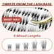 thumbnail image 5 of Kit de extensión de pestañas JOLIETIFY Natural Style Faux Mink, 5 of 8