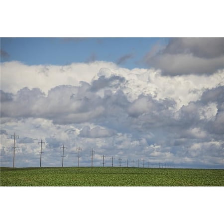 Summer on The Prairies - Winnipeg Manitoba Canada Poster Print - 38 x 24 in. - Large
