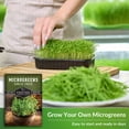 thumbnail image 4 of 2 Packs Curled Cress Microgreens Seeds - Non-GMO Heirloom Annual Full Sun Herb, 4 of 6