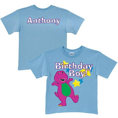 Barney Friends Personalized Barney Birthday Light Blue Boys T