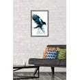 thumbnail image 3 of The Wizarding World: Harry Potter - Logo de la maison illustrée de Serdaigle, 3 of 4
