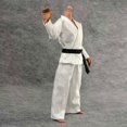 thumbnail image 3 of Judo Gi Hugo Chaqueta Pantalones de acción Masculina, 3 of 8