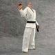 thumbnail image 3 of 4x1/6 Karate Judo Traje Entrenamiento Wu Shu Ropa Ajuste 12 figura De Acción, 3 of 8