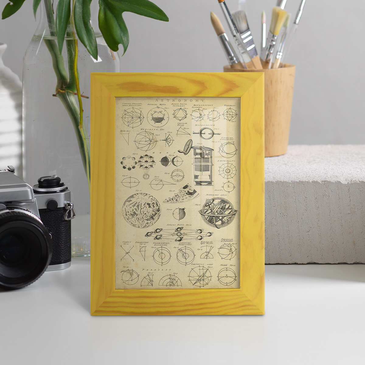 Encyclopediae II -Framed Print w/glass-Sunflower Yellow