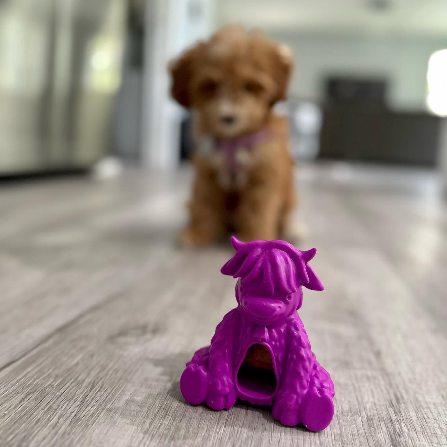 Yeti Dog Chew Treat Dispensing Yak Puff and Play Dog Toy, Purple
