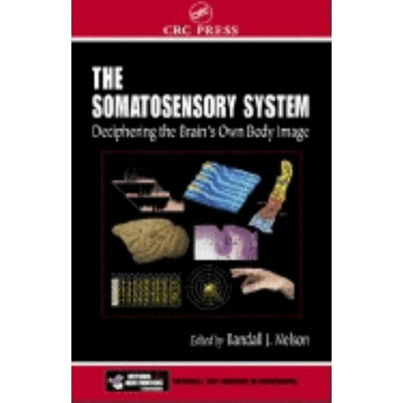 Methods and New Frontiers in Neuroscienc The Somatosensory System: Deciphering the Brain's Own Body Image, (Hardcover)