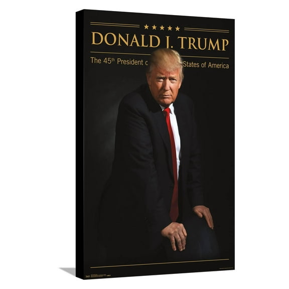 President Donald Trump Canvas Wall Poster, 14.725" x 22.375"