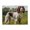 500 Pieces, variant on 1000-Piece Wooden Jigsaw Puzzle for Adults - Spaniel Grass Flowers , Interlocking Pieces with Guide Letters, Holiday Gift & Home Decor