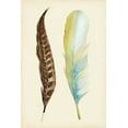 thumbnail image 2 of Ludwig, Alicia 23x32 White Modern Wood Framed Museum Art Print Titled - Plumage II, 2 of 4