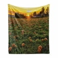 thumbnail image 1 of Autumn Pumpkin Soft Flannel Fleece Throw Blanket, Agriculture Themed Photo of Fall Seasonal Fruit Patch at Sunset Time, Cozy Plush for Indoor and Outdoor Use, 70" x 90", Multicolor, by Ambesonne, 1 of 6