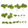 thumbnail image 1 of 36Pcs Aquarium Duckweed Mini Artificial Plants Aquarium Simulation Plant Fish Tank Accessories, 1 of 7