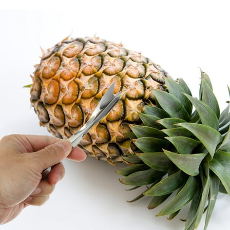 Kitandove Stainless Steel Fruit Tool Set Pineapple Peeler 12Pcs 6.2X0.7X0.6In