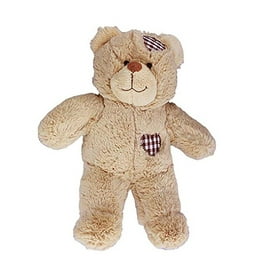 Recordable bear walmart discount