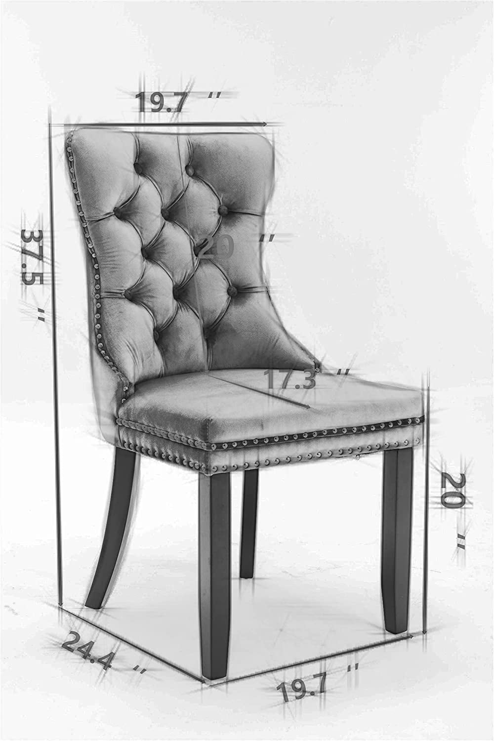 Rhomtree Velvet Tufted Dining Side Chairs, Beige (Set of 2)
