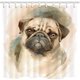 thumbnail image 1 of Cortina de ducha ABPHQTO Poliéster hogar Hotel Shar Pei 160x180 cm, 1 of 1