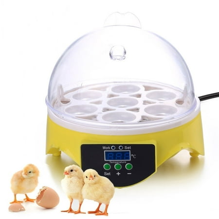 7 Eggs Digital Incubator Automatic Small Poultry Hatcher Machine Digital Temperature Control for Chicken Duck Goose (Best Small Incubator For Chicken Eggs)