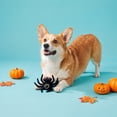 thumbnail image 2 of Vibrant Life Halloween Spider Plush Dog Toy with Tennis Ball, Black, Chew Level 1, 2 of 5
