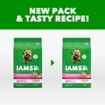 thumbnail image 4 of IAMS Proactive Health Small Breed Adult Chicken & Whole Grain Recipe Dry Dog Food, 5 Lb Bags, 4 of 6