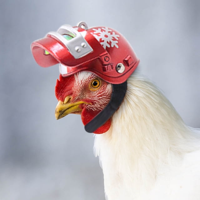 Xihbxyly Casco para Pollos, Protector para Cabeza de Pájaro, Gorro Protector con Forro de Esponja, Cómodo para Animales Pequeños, Protección Contra El Sol y La Lluvia, Disfraz de Halloween, Talla Aju