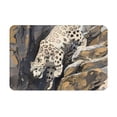 thumbnail image 1 of Balery Graceful Snow Leopard Felpudo de franela, resistente a las manchas y a la decoloración, para uso interior y exterior, fácil de limpiar, 40 x 60 cm, 1 of 7