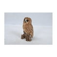 thumbnail image 2 of Hi-Line Gift Ltd Tawny Owl on Stump, 675", 2 of 2