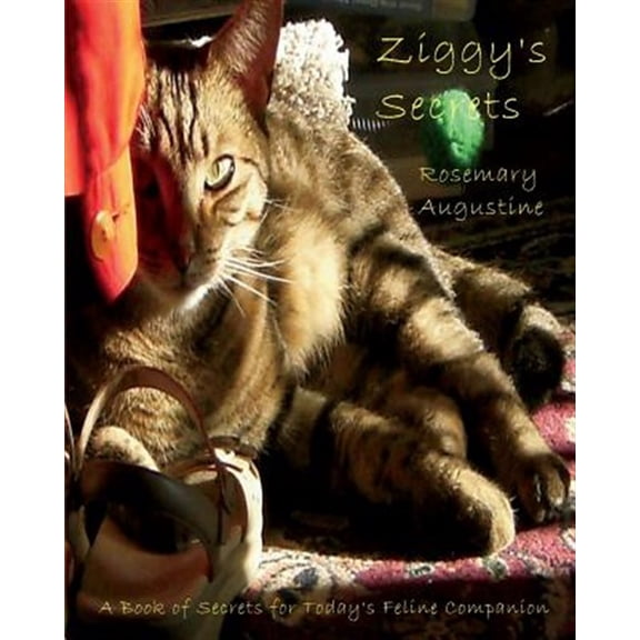 Pre-Owned Ziggy's Secrets: An Internet Password Keeper