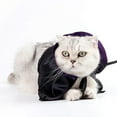 thumbnail image 3 of Halloween Pet for Cats Funny Witch Cloak and Hat Festival Party Apparel Outfit Accessories, 3 of 8