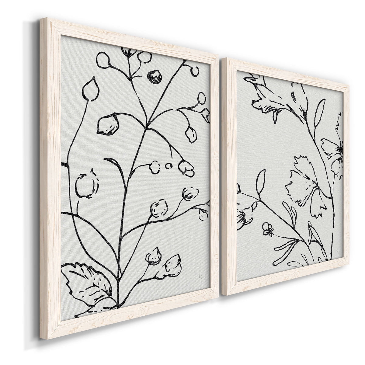 Botanical Sketch I - Premium Framed Canvas 2 Piece Set - Ready to Hang