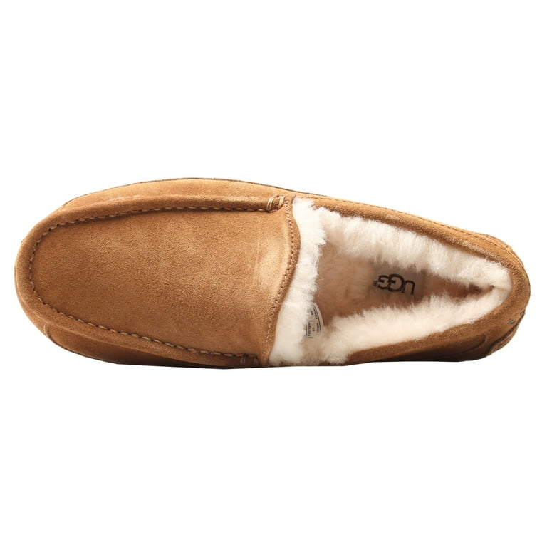 UGG Men's Ascot Slipper Chestnut - 1101110-CHE CHESTNUT - Walmart.com