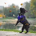thumbnail image 5 of Dog Harness Soft Suede Fabric Pet Vest Step In Adjustable Reflective _jiue, 5 of 5