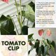 thumbnail image 3 of Muyoka MTFun Bend The Plant Clips, Plant Bending Clip 10Pcs 90 Degree con suministros de jardín para jardinería para césped para jardín de vegetales para plantas Muyoka Hogar, 3 of 7