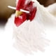 thumbnail image 5 of Varilla de obstrucción de plástico para nariz y pene, 100 Uds., previene que los gallos arrebaten la comida, señal para la nariz, suministros para aves de corral y granja, 5 of 8